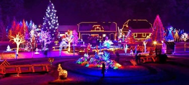 Dallas Airport Transportation & Holiday Lights Limo Tours — Allen Limo